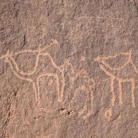 Wadi Rum Albasli Екстериор снимка