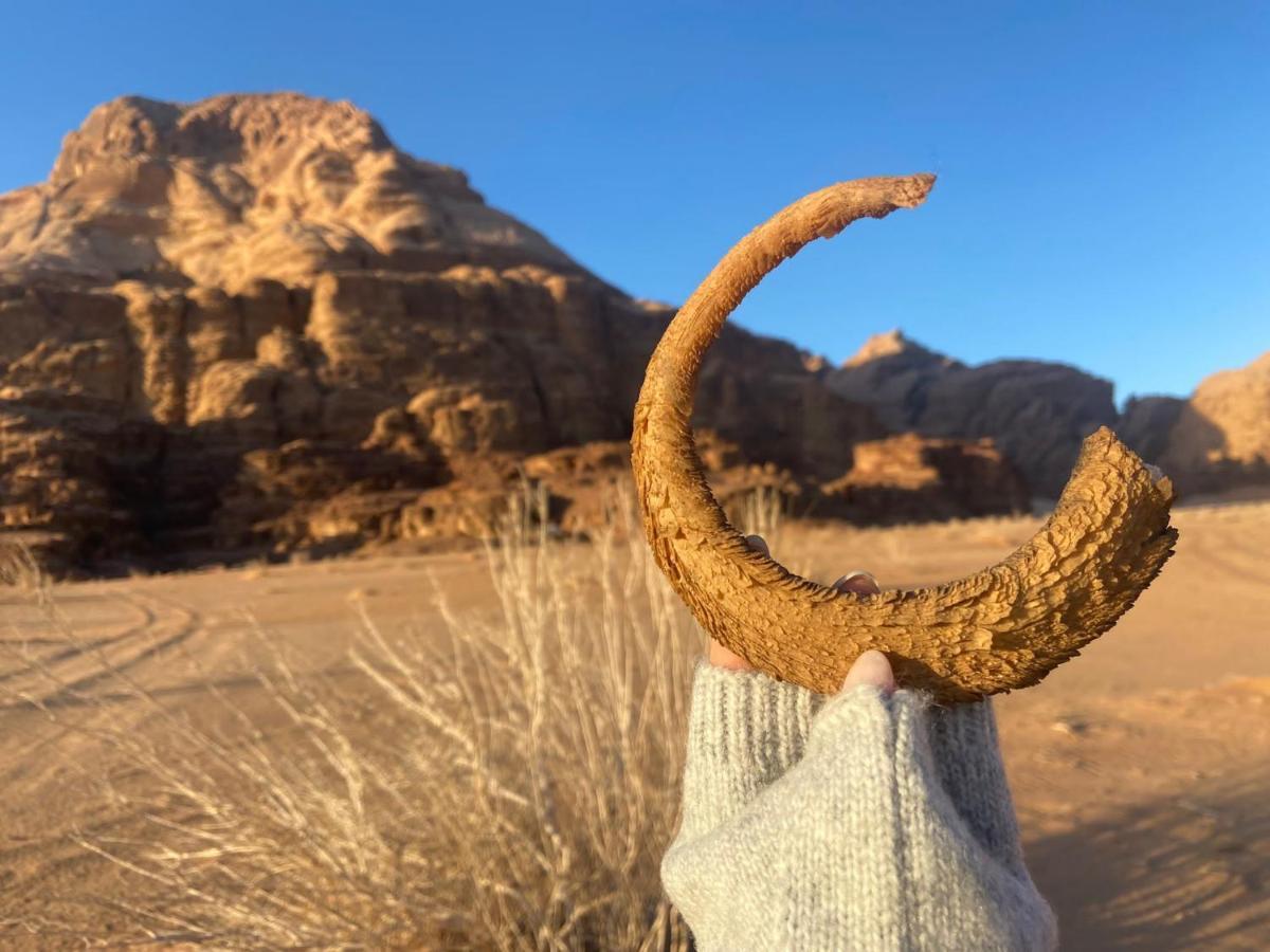 Wadi Rum Albasli Екстериор снимка