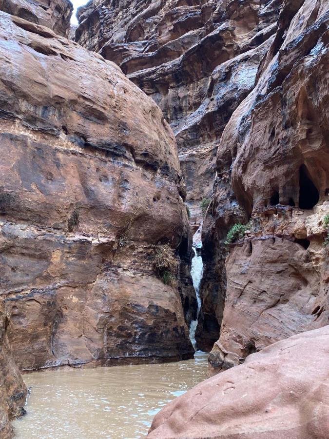 Wadi Rum Albasli Екстериор снимка