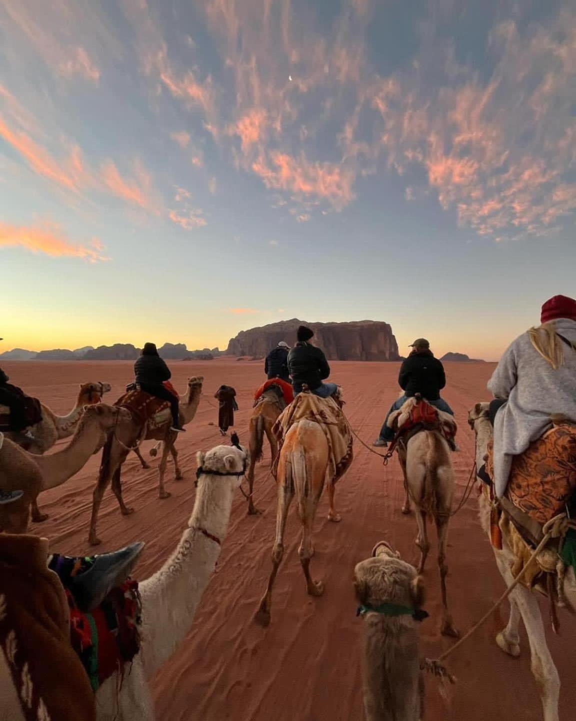 Wadi Rum Albasli Екстериор снимка