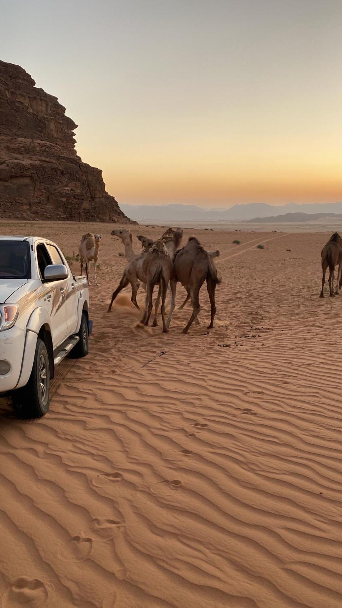 Wadi Rum Albasli Екстериор снимка