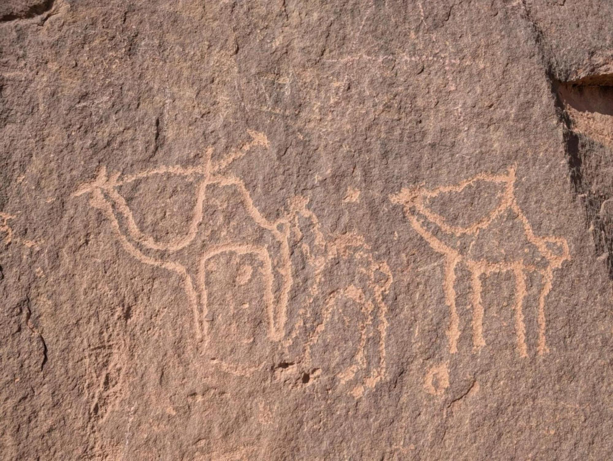 Wadi Rum Albasli Екстериор снимка