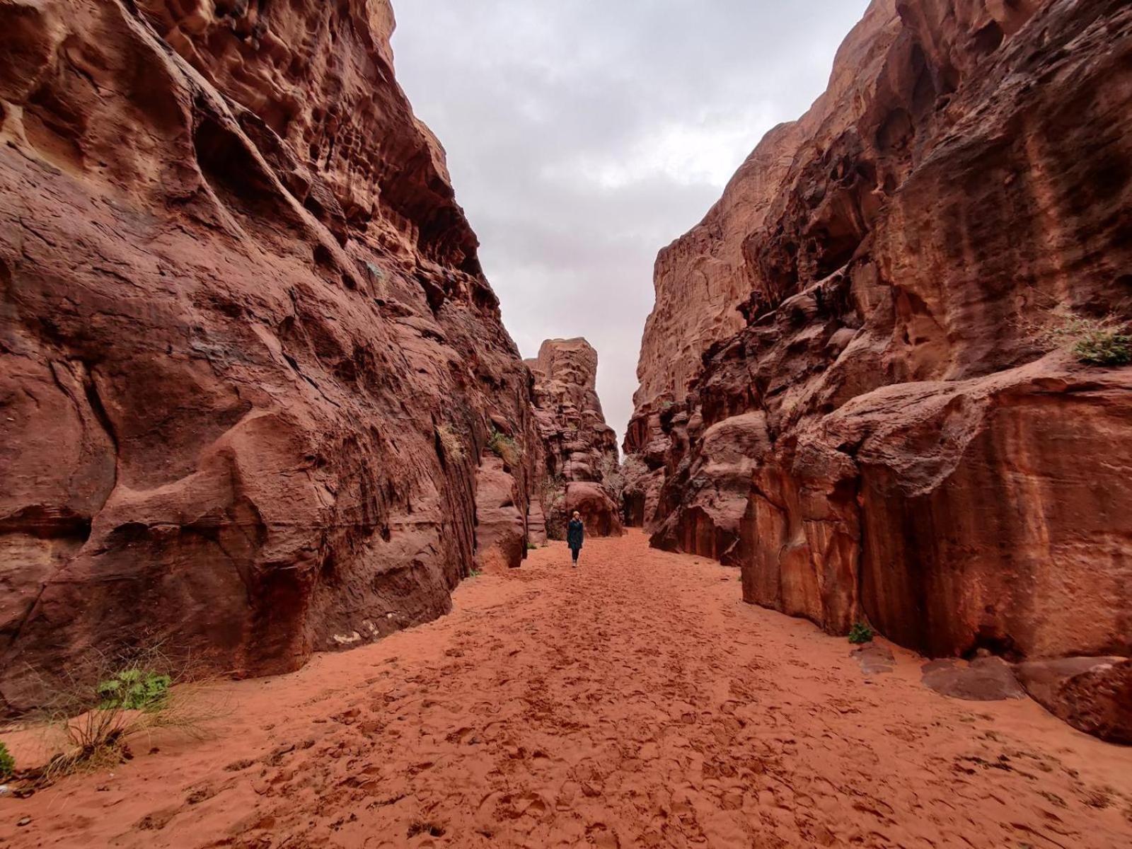 Wadi Rum Albasli Екстериор снимка